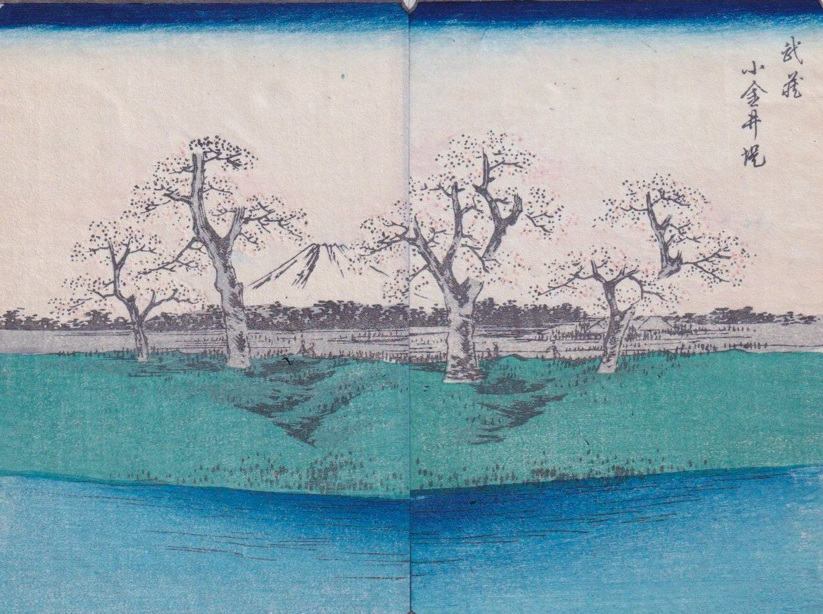 Mont Fuji depuis Konagei estampe japonaise