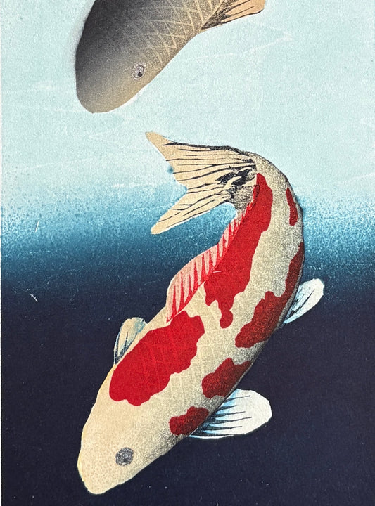 estampe carpe koi