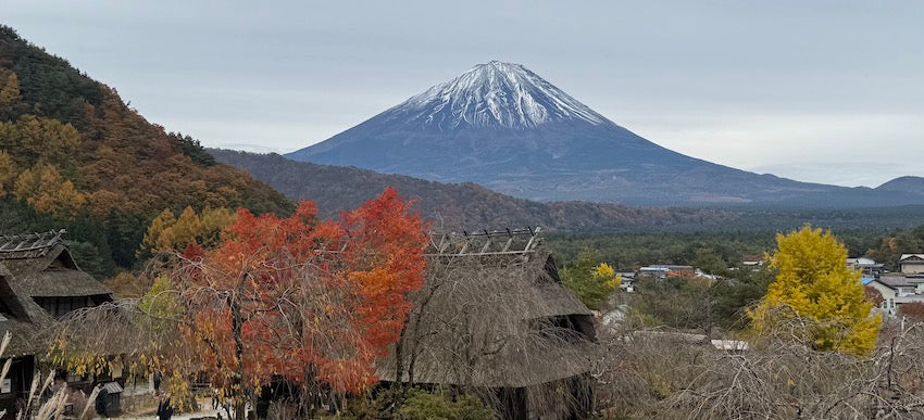 Le mont Fuji enneigé au-dessus des toits de chaume du village de Nenba, près du lac Saiko, en automne