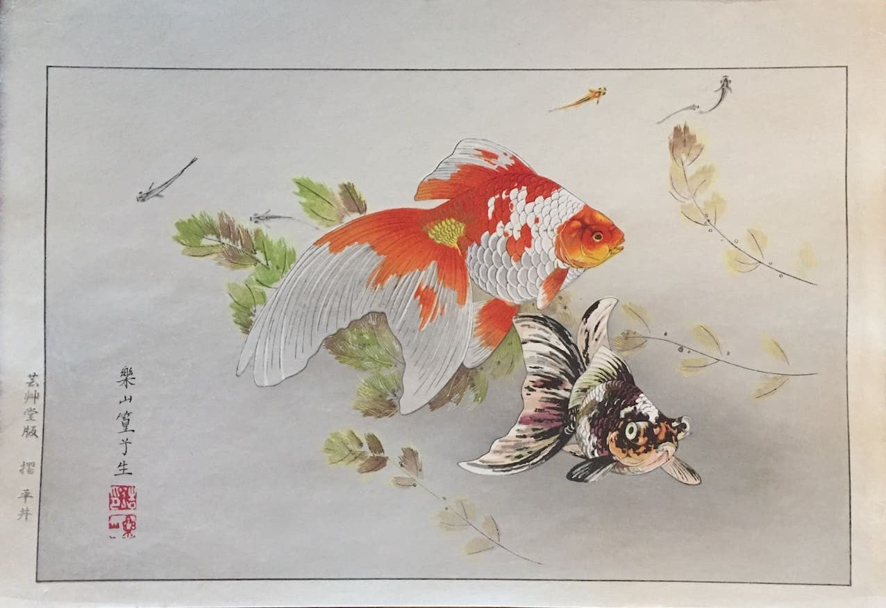 estampe japonaise de Rakuzan Tsuchiya poisson d'or