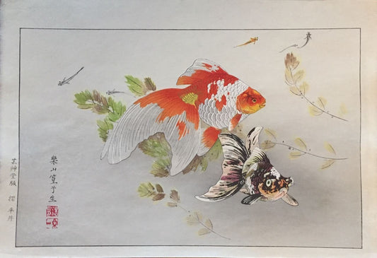 estampe japonaise de Rakuzan Tsuchiya poisson d'or