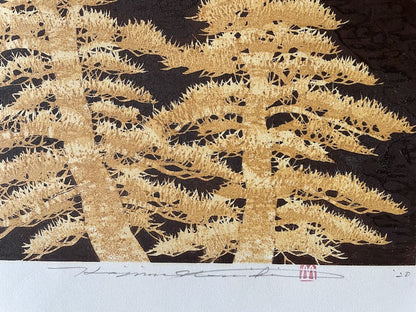 Hajime Namiki - Fuji 17