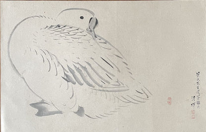 Yokohama Seiki - Le canard
