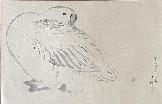 Yokohama Seiki - Le canard