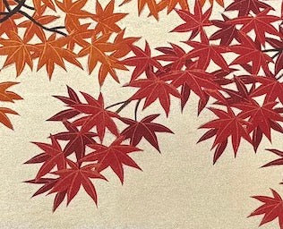 Hajime Namiki : Momiji 3