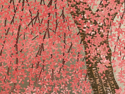 Hajime Namiki : Sakura 29