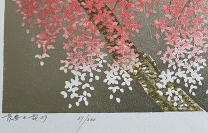 Hajime Namiki : Sakura 29