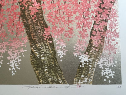 Hajime Namiki : Sakura 29