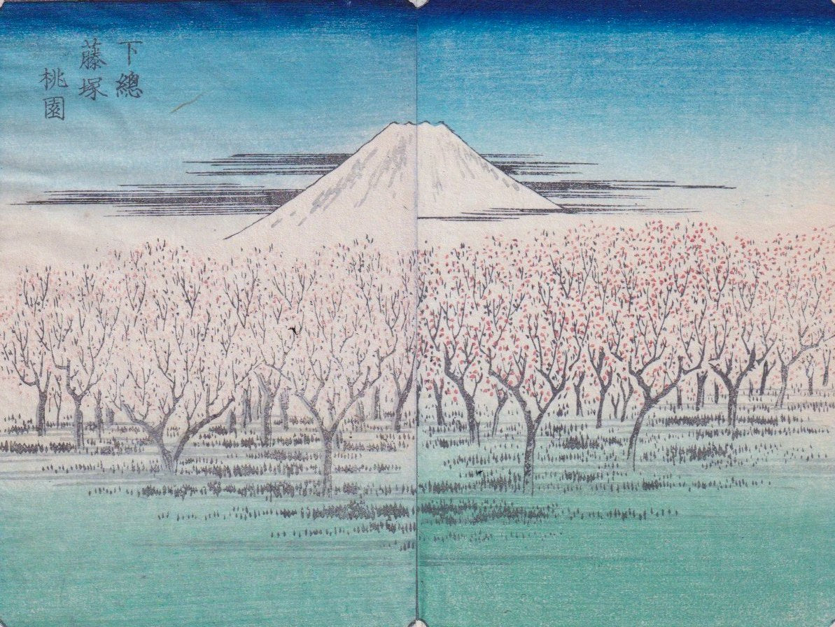 paysage japonaise au printemps et Mont Fuji 