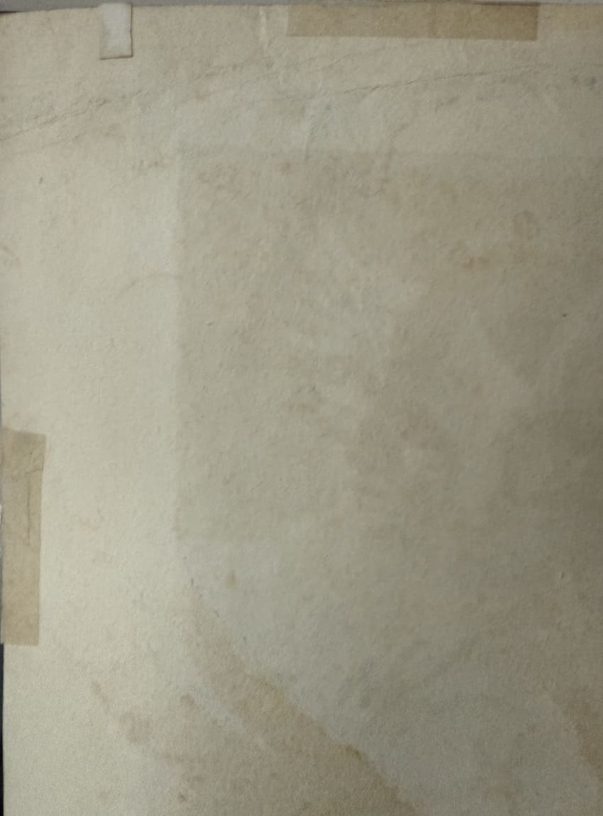 Jun'ichirō Sekino : Chat noir et blanc - Estampe japonaise sōsaku hanga