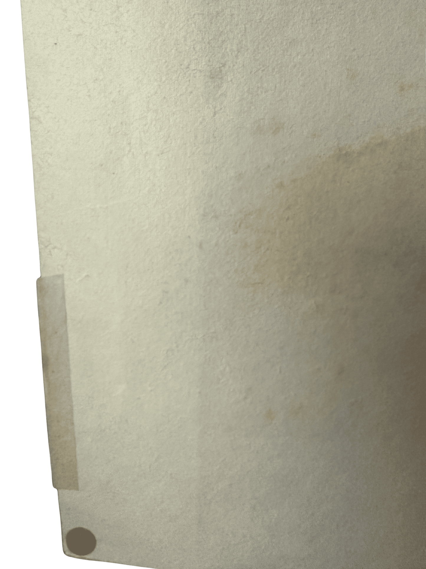 Jun'ichirō Sekino : Chat noir et blanc - Estampe japonaise sōsaku hanga