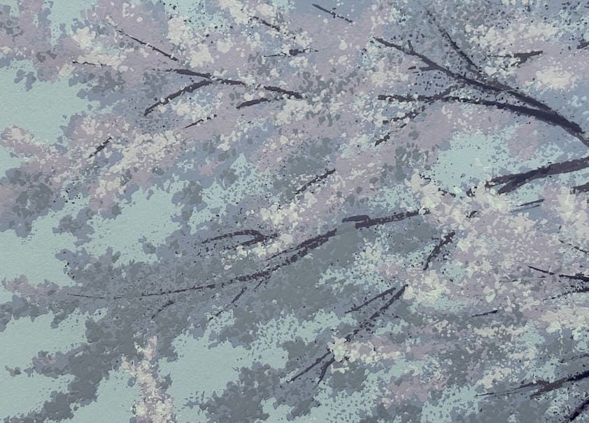 Soho Ikegami : Sakura