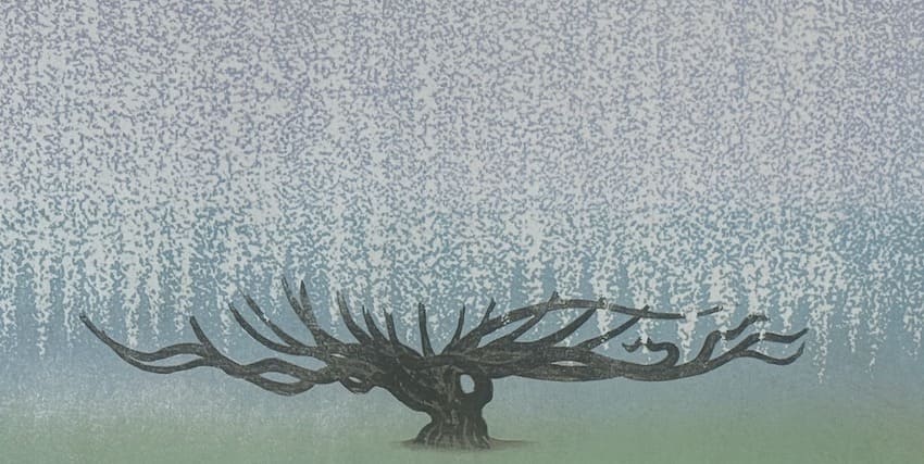 Takashi Hirose – Grande glycine – estampe japonaise contemporaine arbre en fleurs