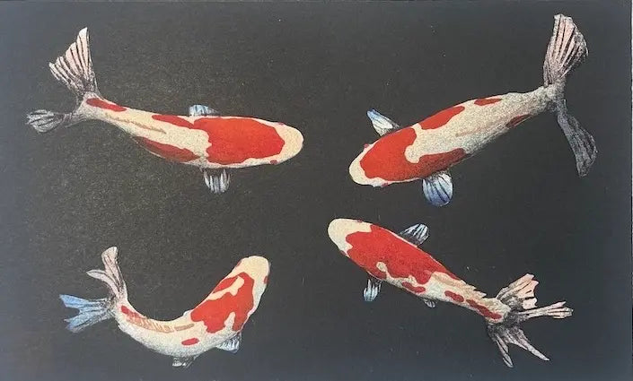 Estampe japonaise de Kunio Kaneko montrant quatre carpes koï blanches et rouges nageant sur un fond noir mat.