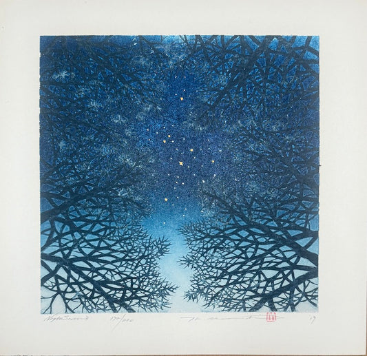 estampe japonaise contemporaine Hajime Namiki ciel étoilé